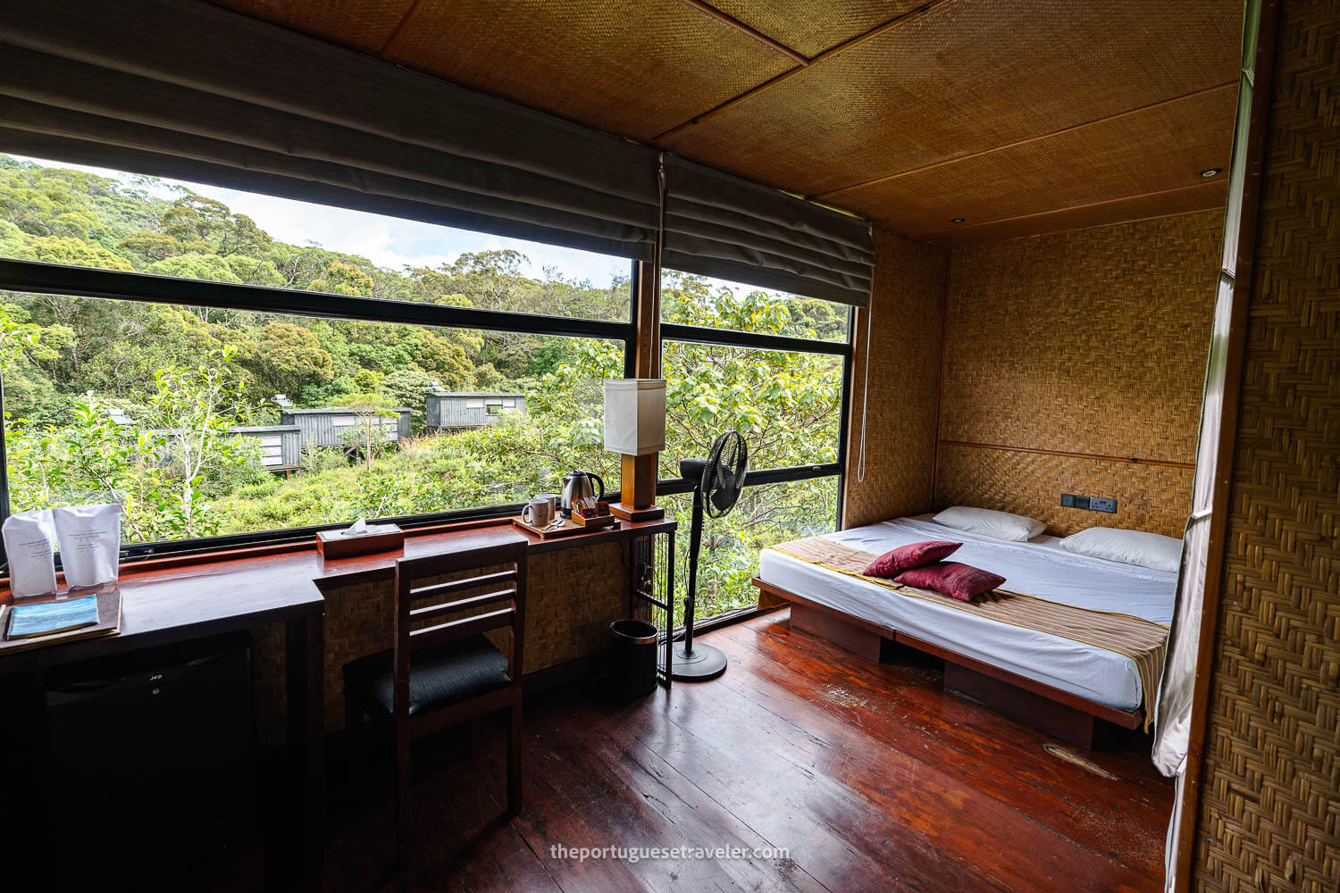 My double room at the Rainforest Ecolodge