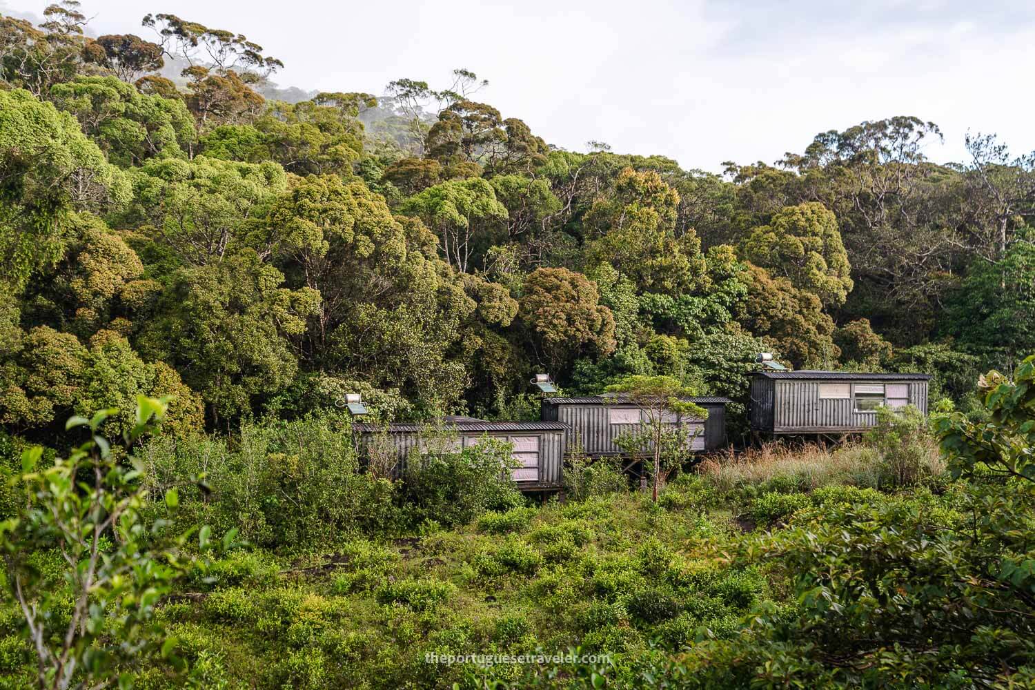 The Rainforest Ecolodge at the Sinharaja Forest Reserve