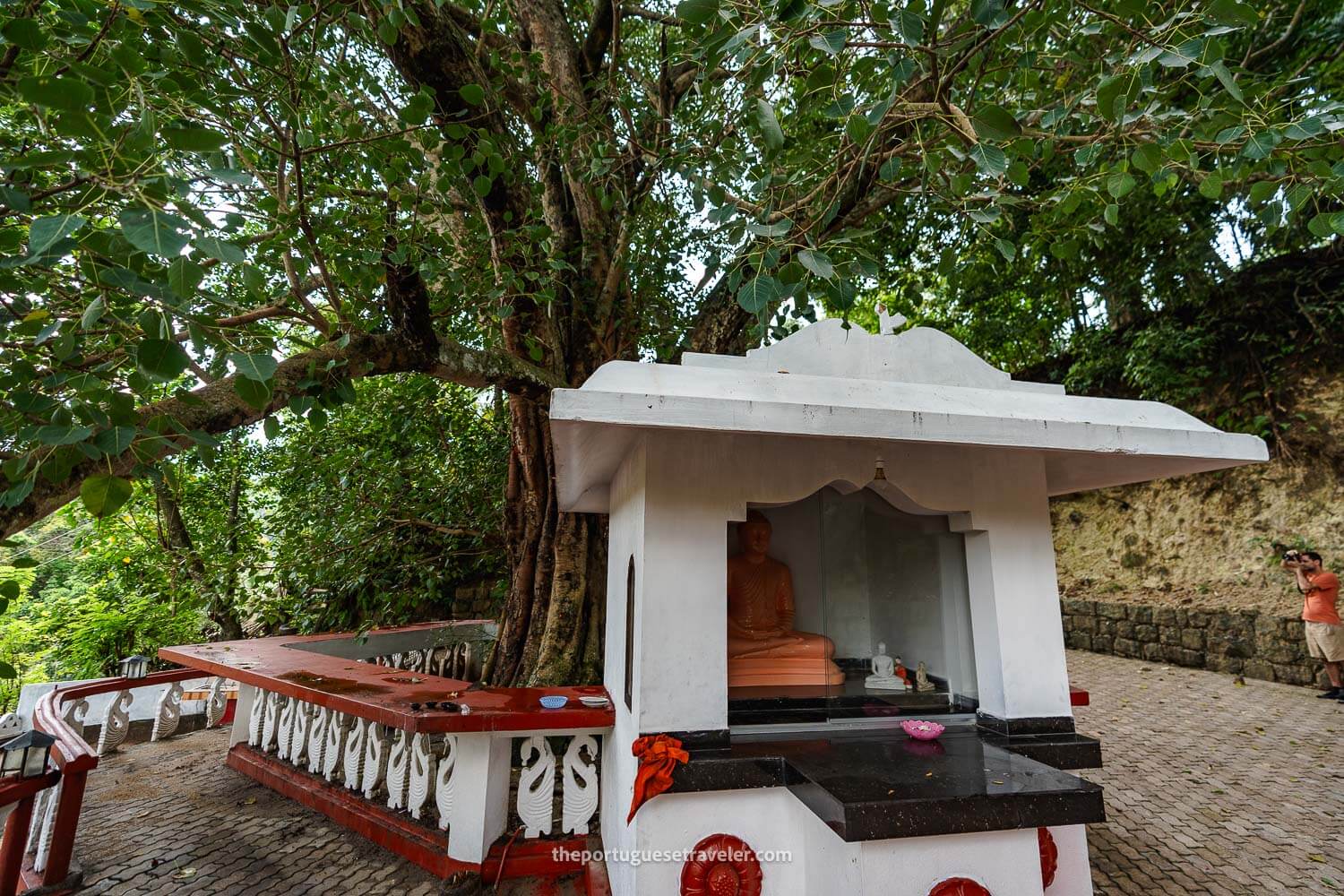 The little shrine in front of the Bodhi Tree at the Ravana's Temple