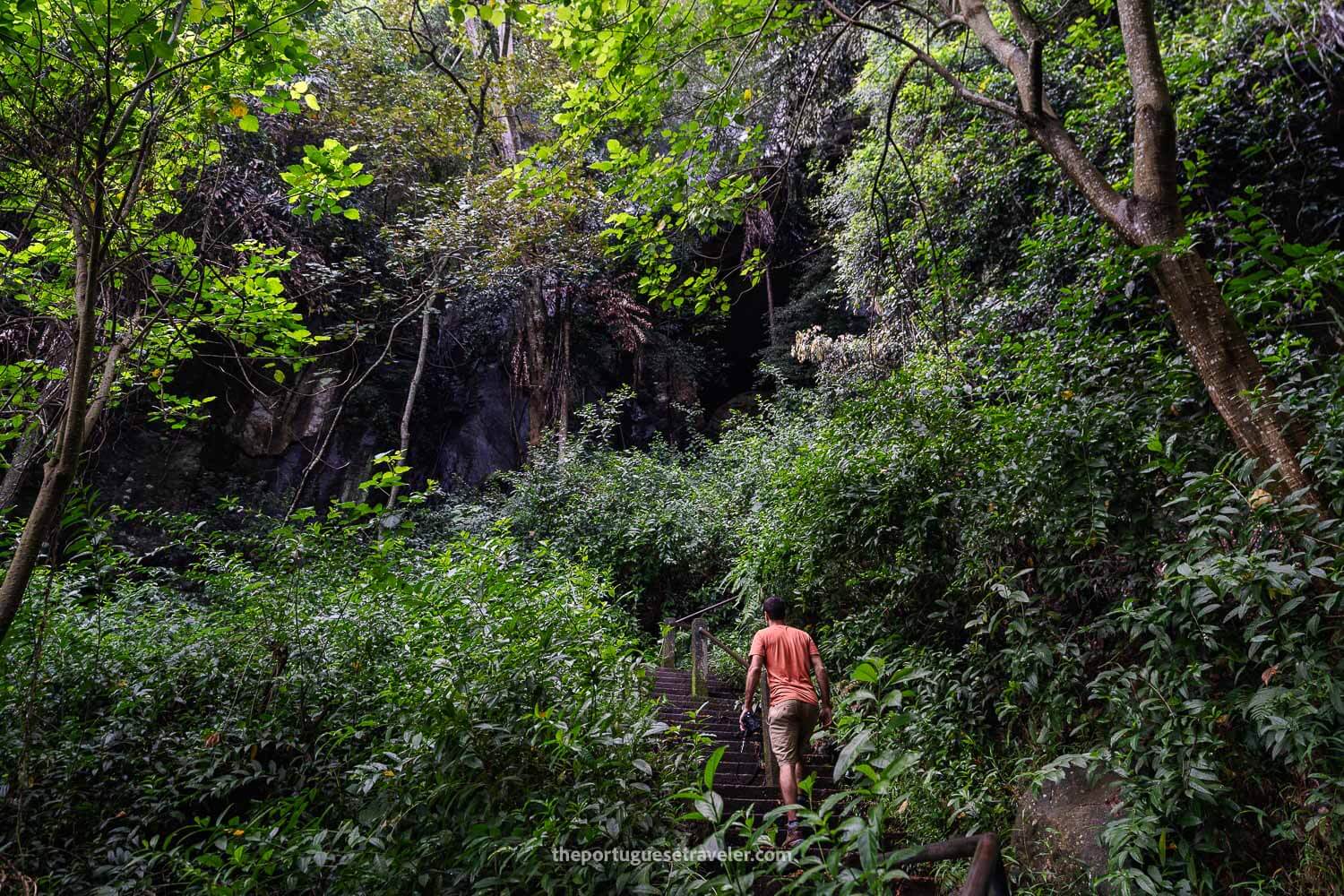 Almost arriving at the cave