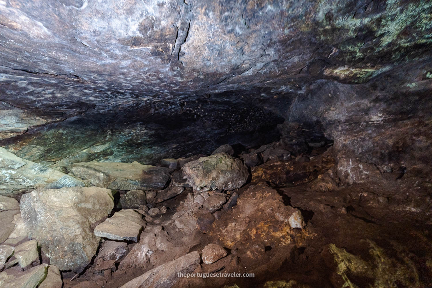 The bats on the ceiling of the Ravana's Cave