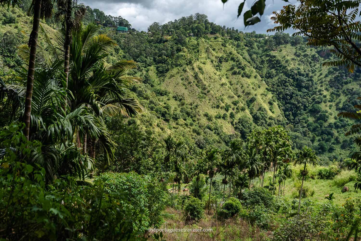 The lush vegetation around the Ravana's Cave