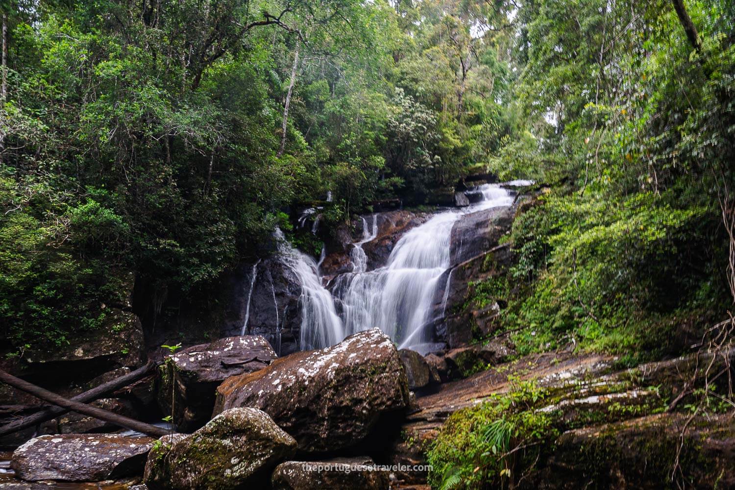 A waterfall on the jungle hike in Sinharaka Forest Reserve