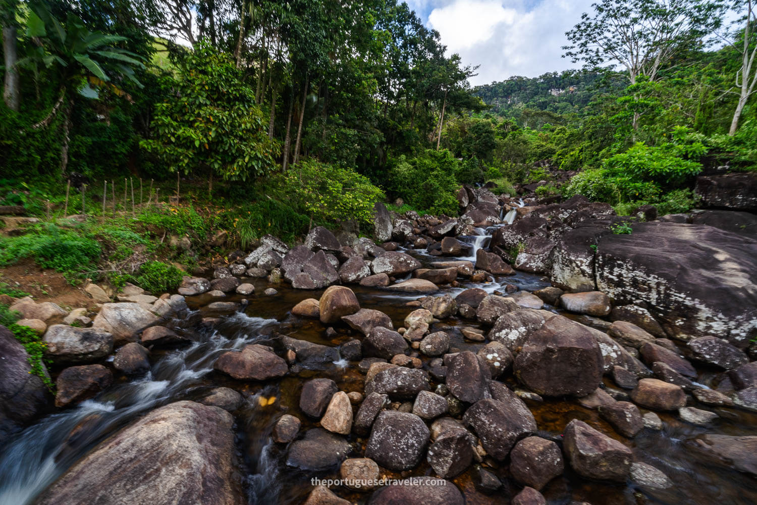 The Jungle Hike's Waterfalls, at the Sinharaja Forest Reserve