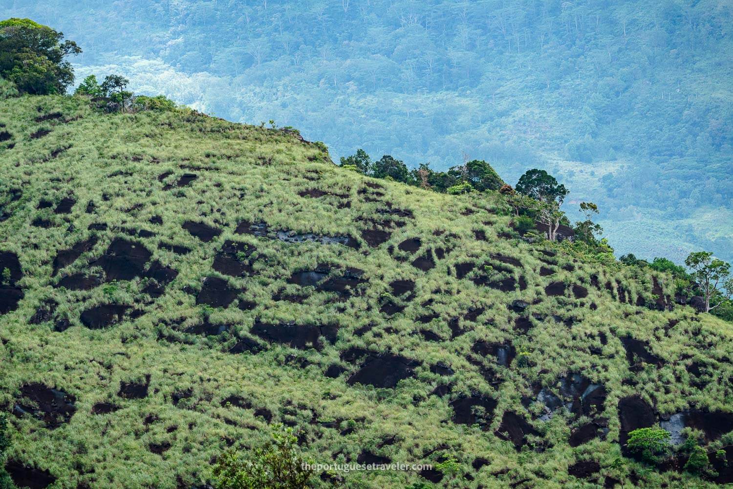 The landscape around the Sinharaja Forest Reserve