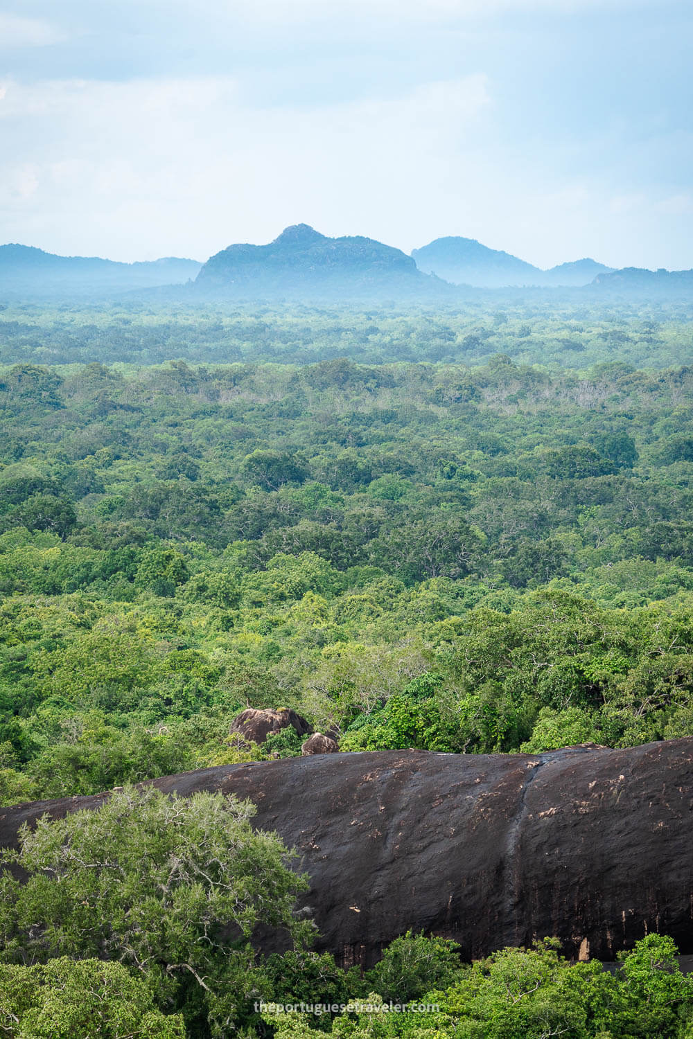 A detail of the jungle and rock formations around Sithulpawwa