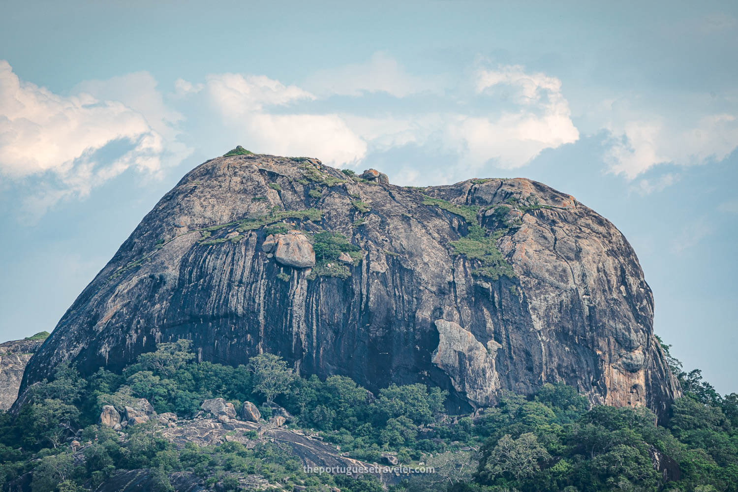 A detail of the Elephant Rock