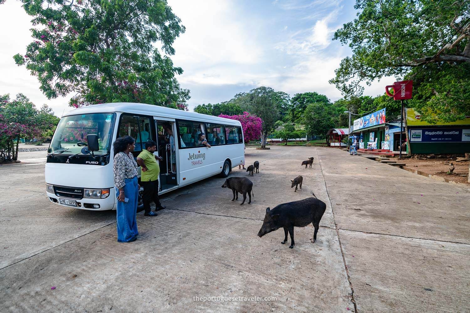 Our shuttle on the entire trip and the wild boars that tried to attack me