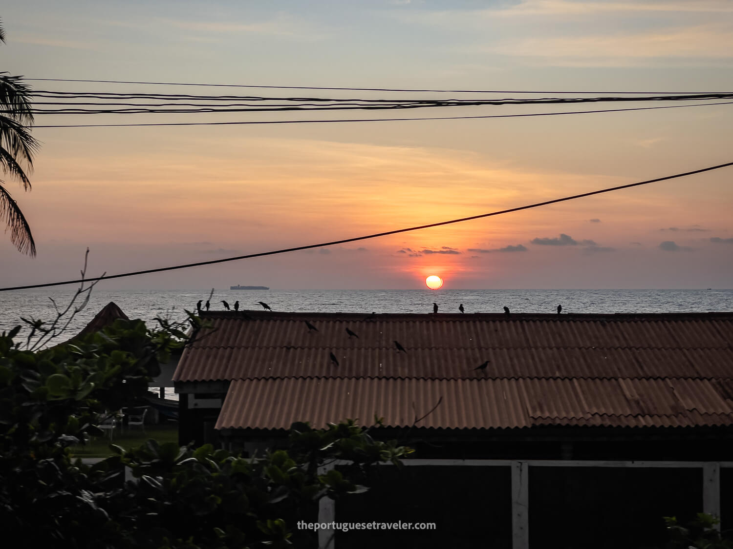 The sunset over the ocean