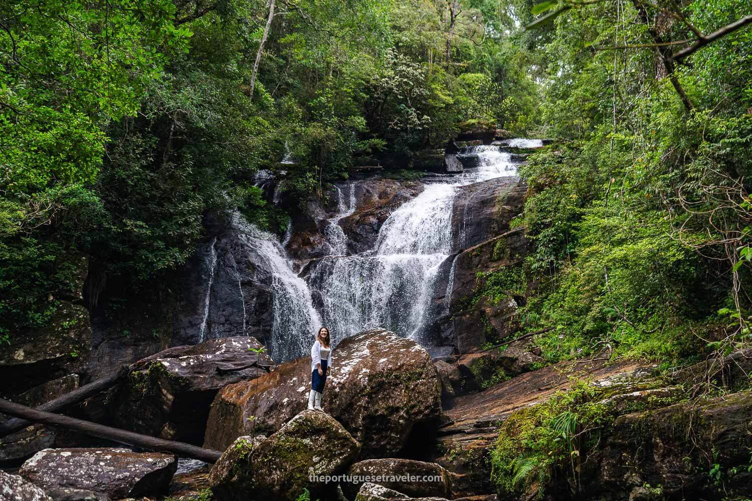 The Waterfall at the Sinharaja Rainforest