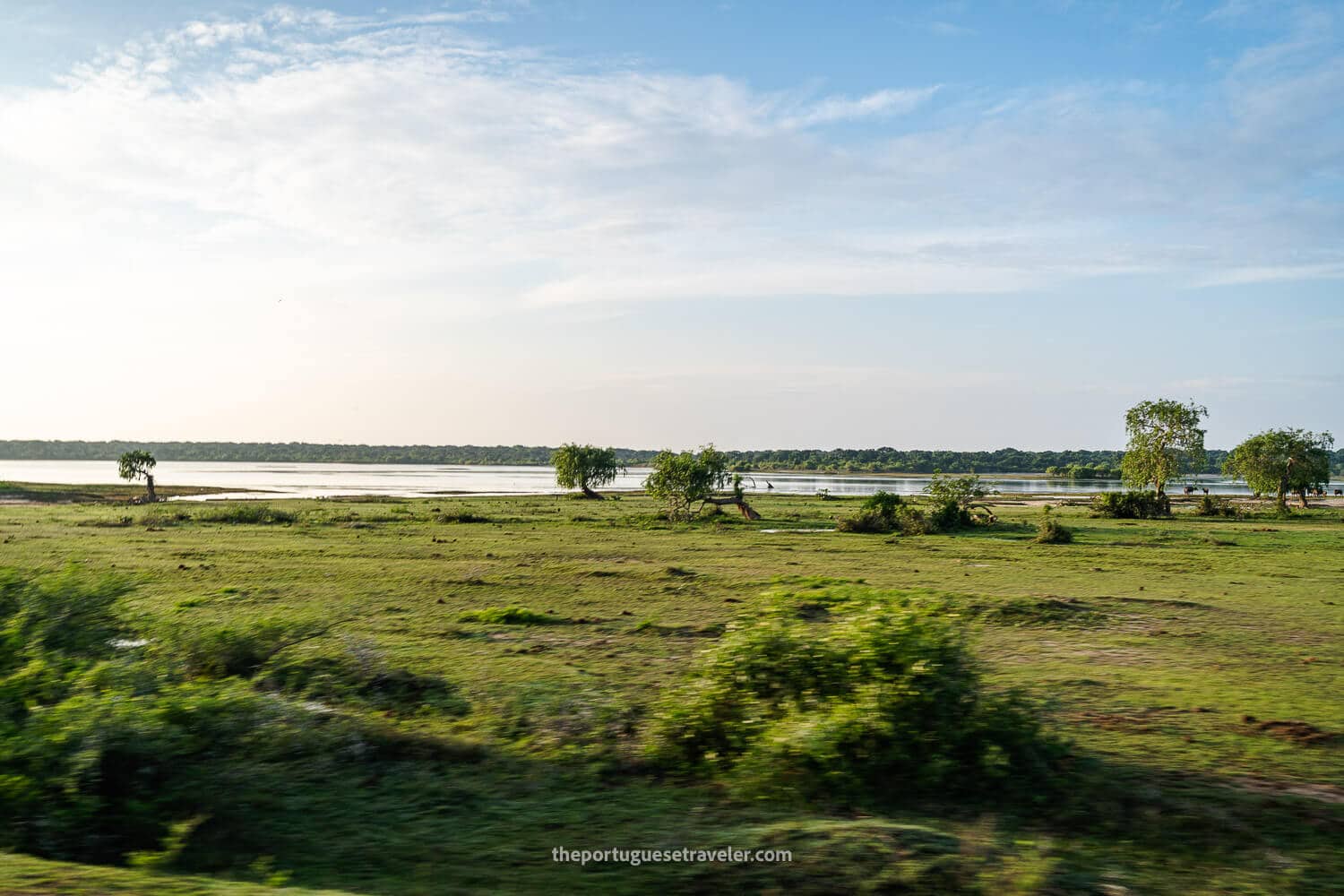 The wetlands and grasslands of Yala