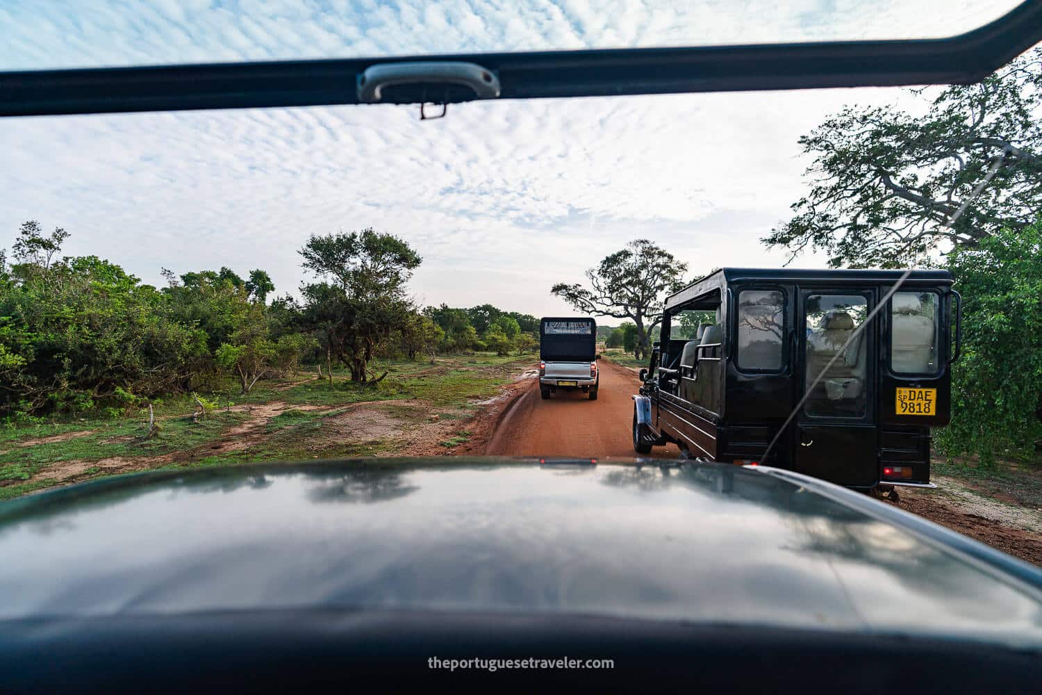 The Yala National Park Safari - Block 1