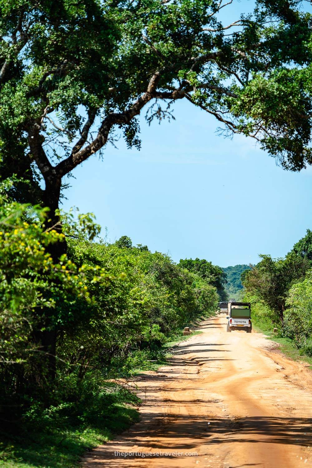 The safari in Yala National Park
