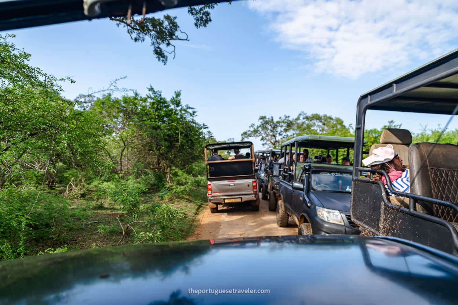 The Safari Jeep-Chaos in Yala National Park - Searching for Leopards
