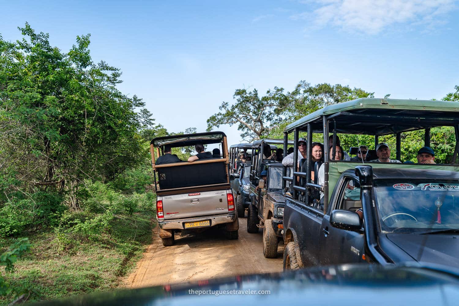 The Safari Jeep Chaos at Yala National Park