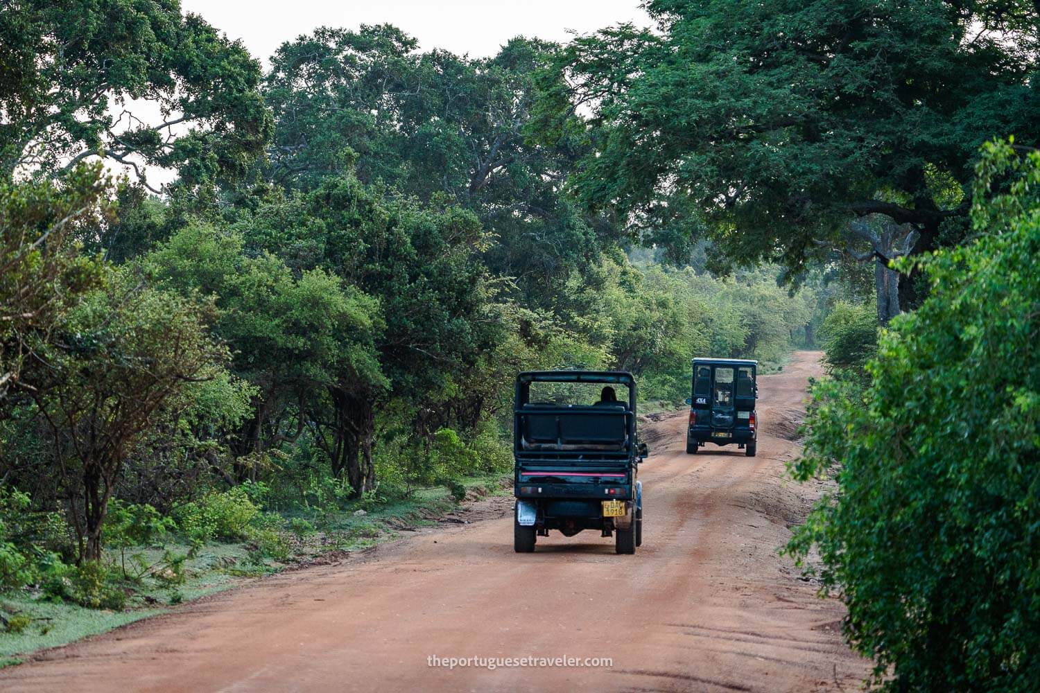 The Yala National Park Safari jeeps