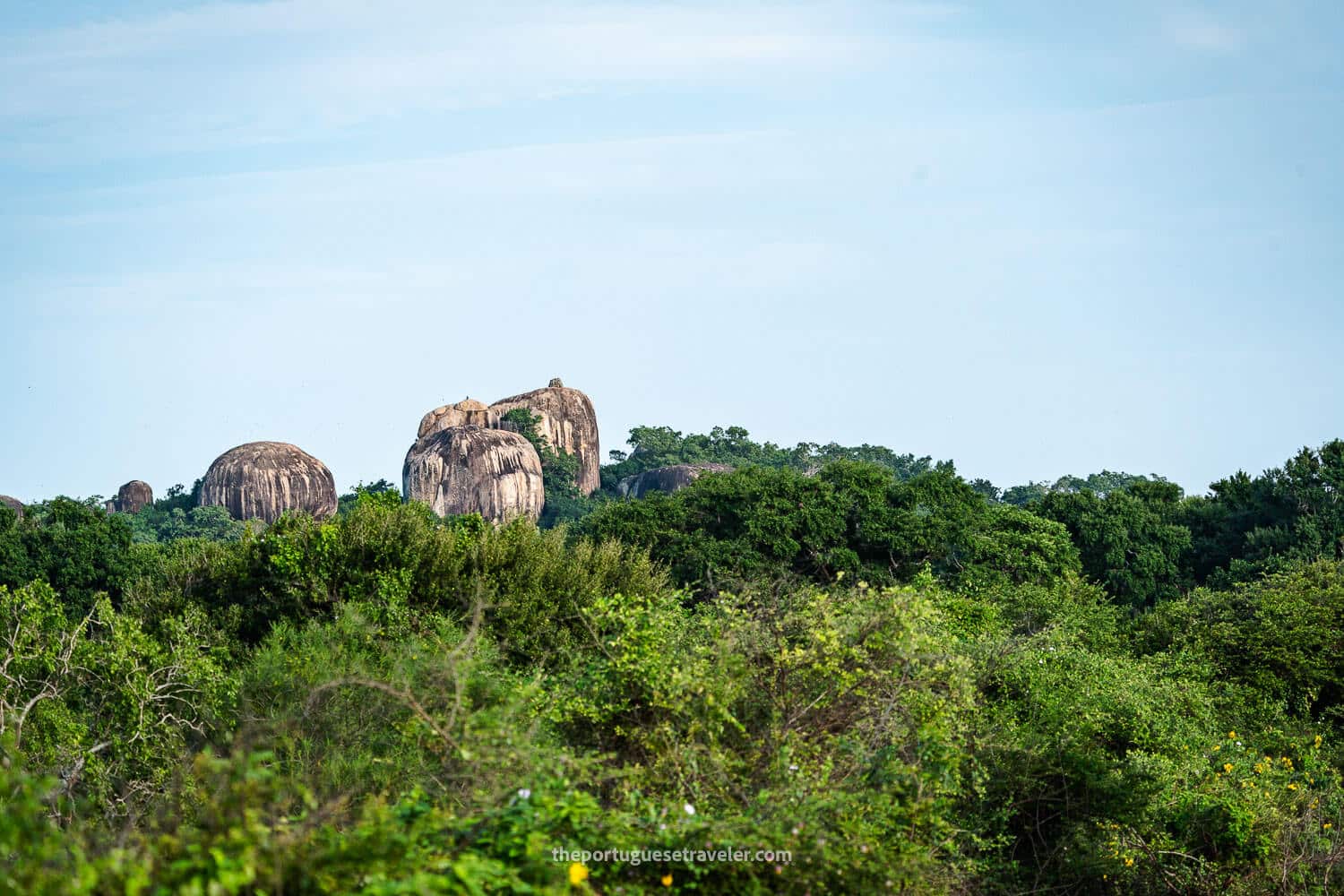 The Forest and Rock Formations of the Yala National Park