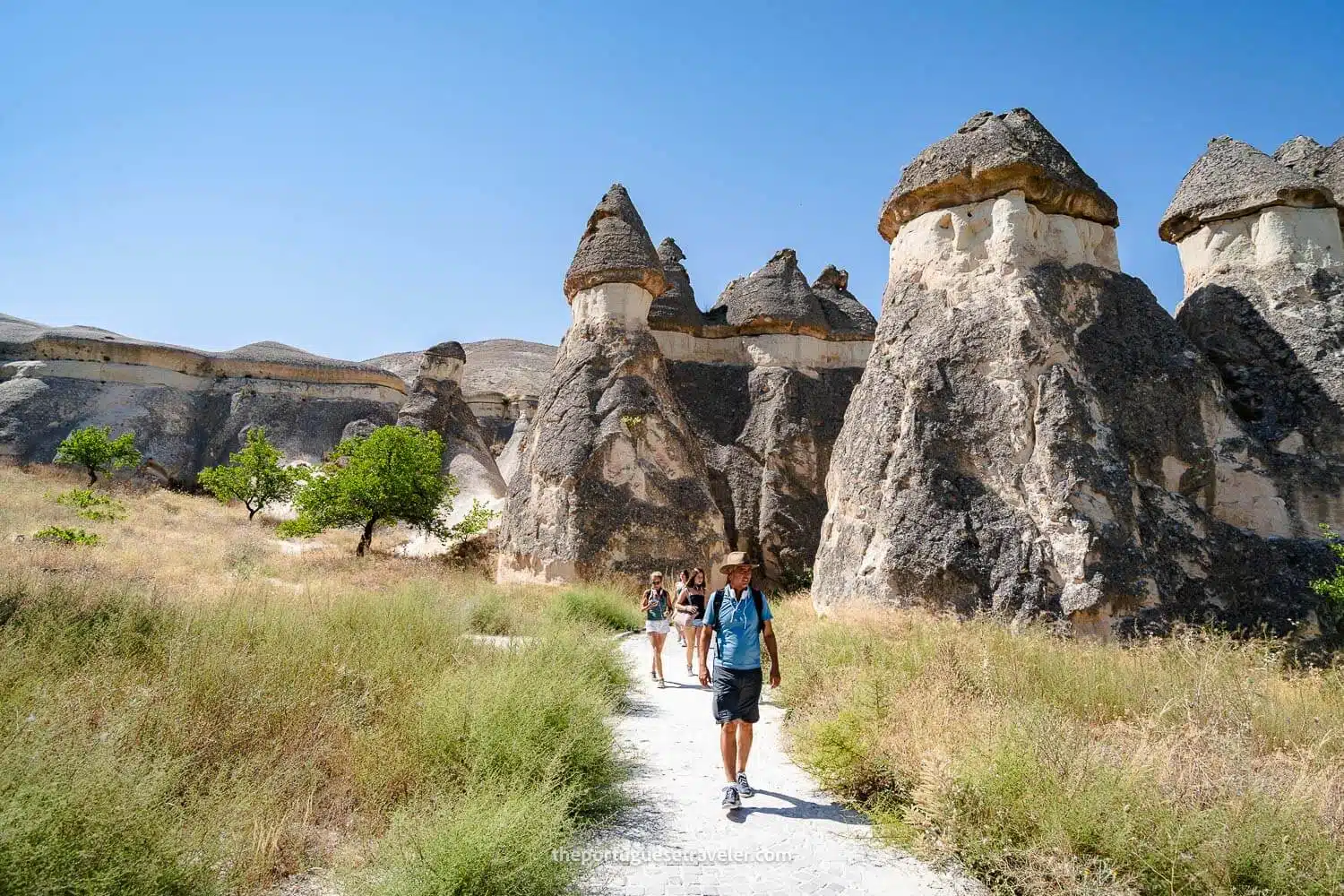Fairy Chimneys in Cappadocia