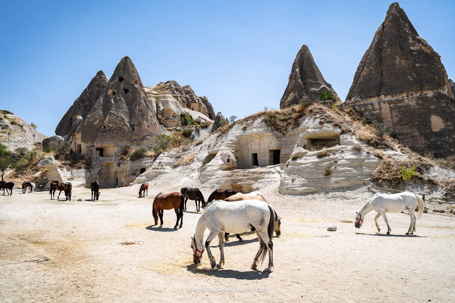 Horseback Riding in Cappadocia, Turkey