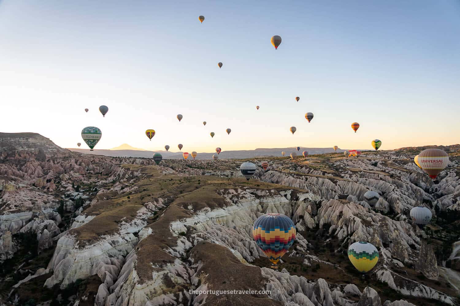 All the balloons in the air and Mount Erciyes in the background