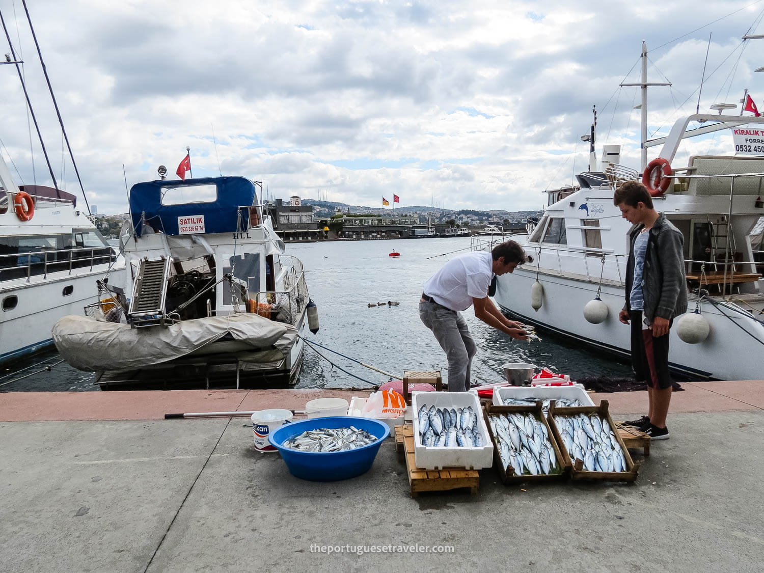 Arnavutkoy's fishermen