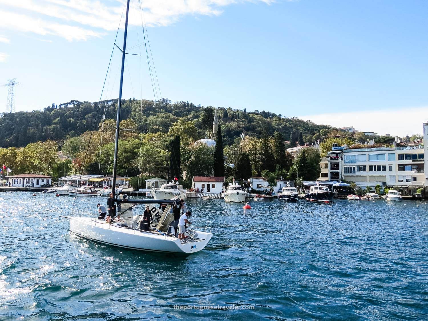 Bebek seen from the Cruise