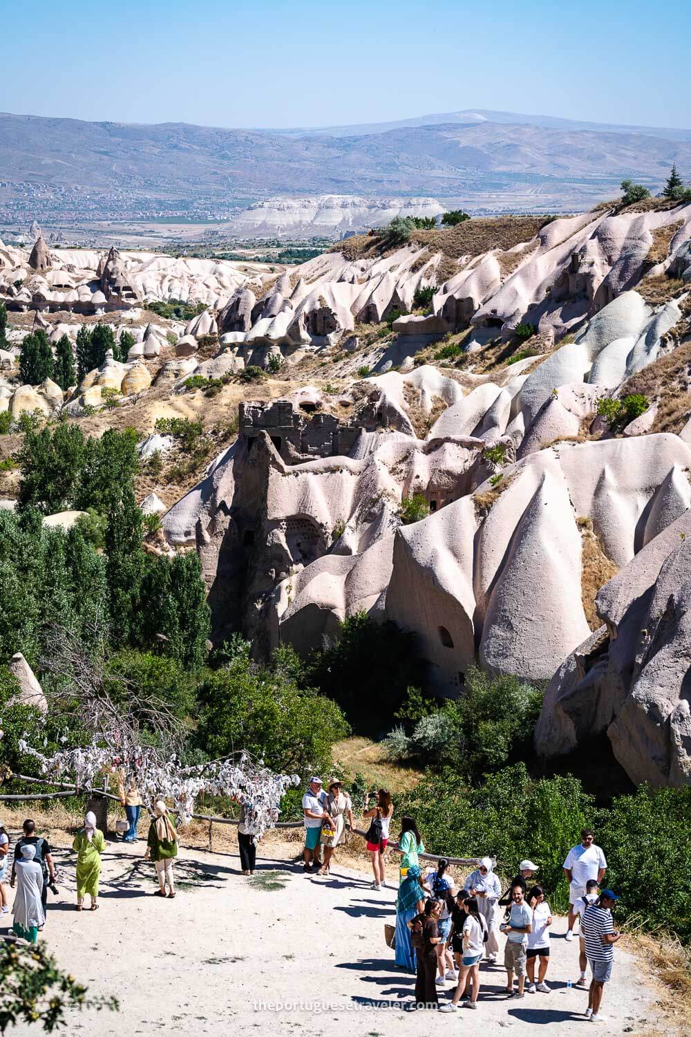 The Pidgeon Valley Viewpoint