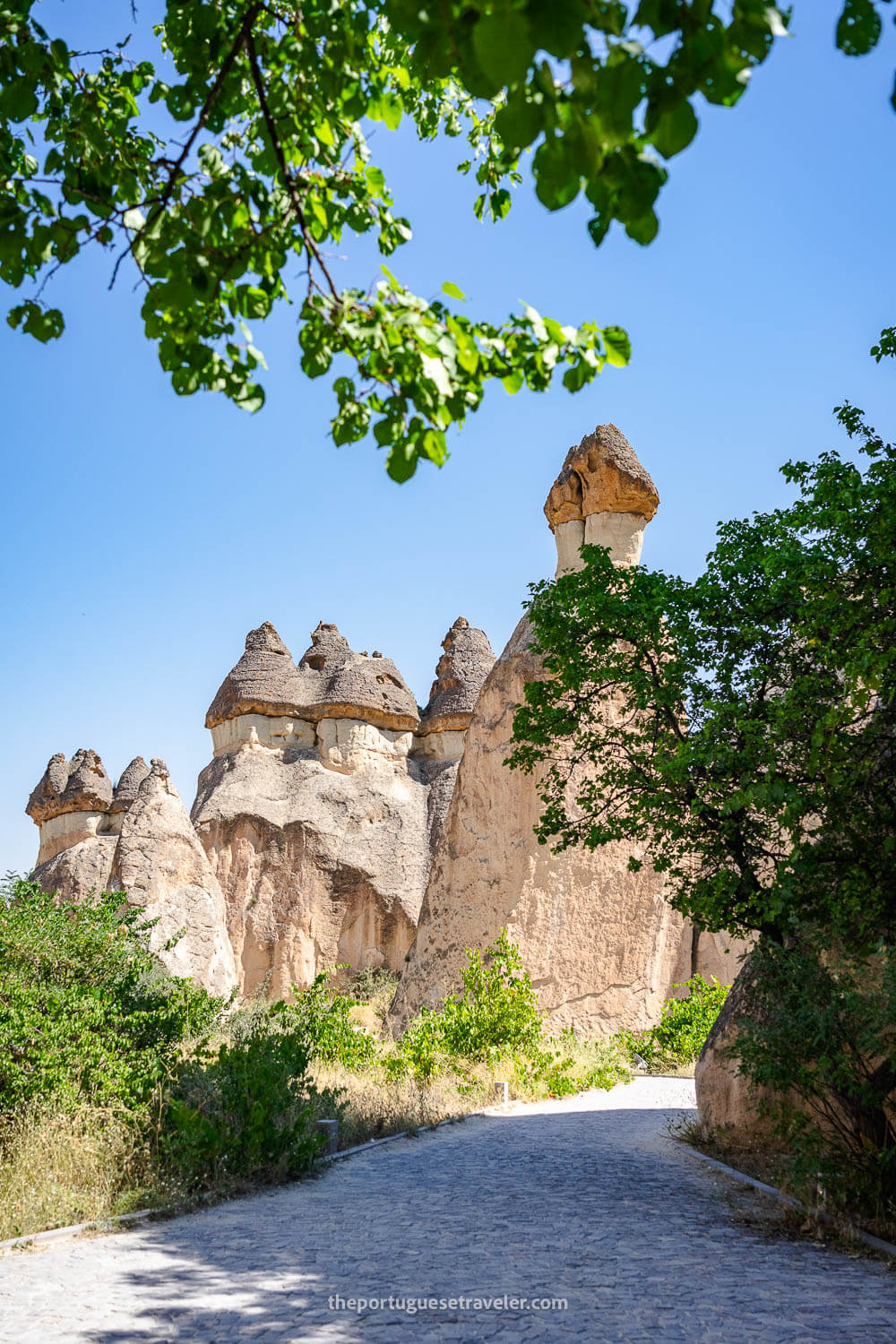 The Pasabag Valley in Cappadocia