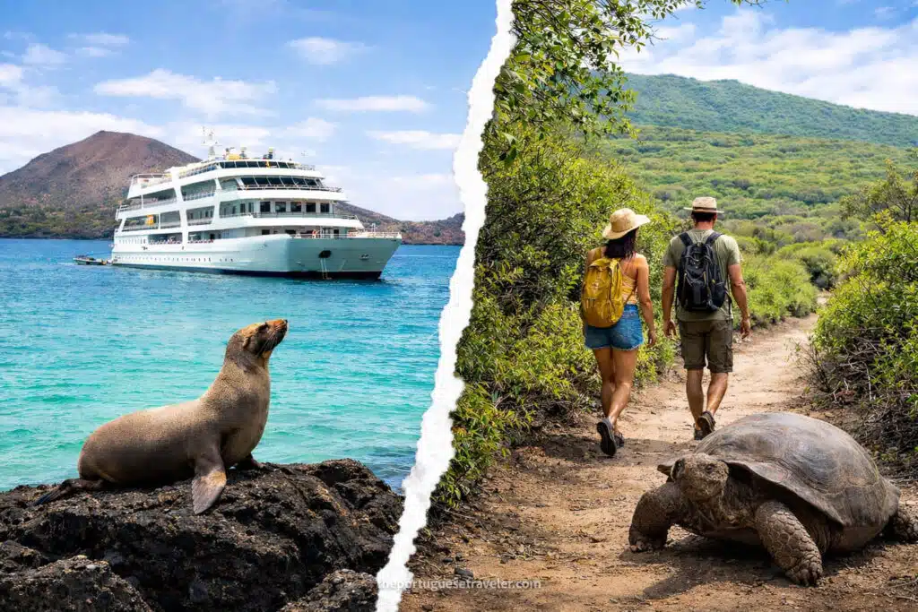 Galapagos Cruise vs Island Hopping