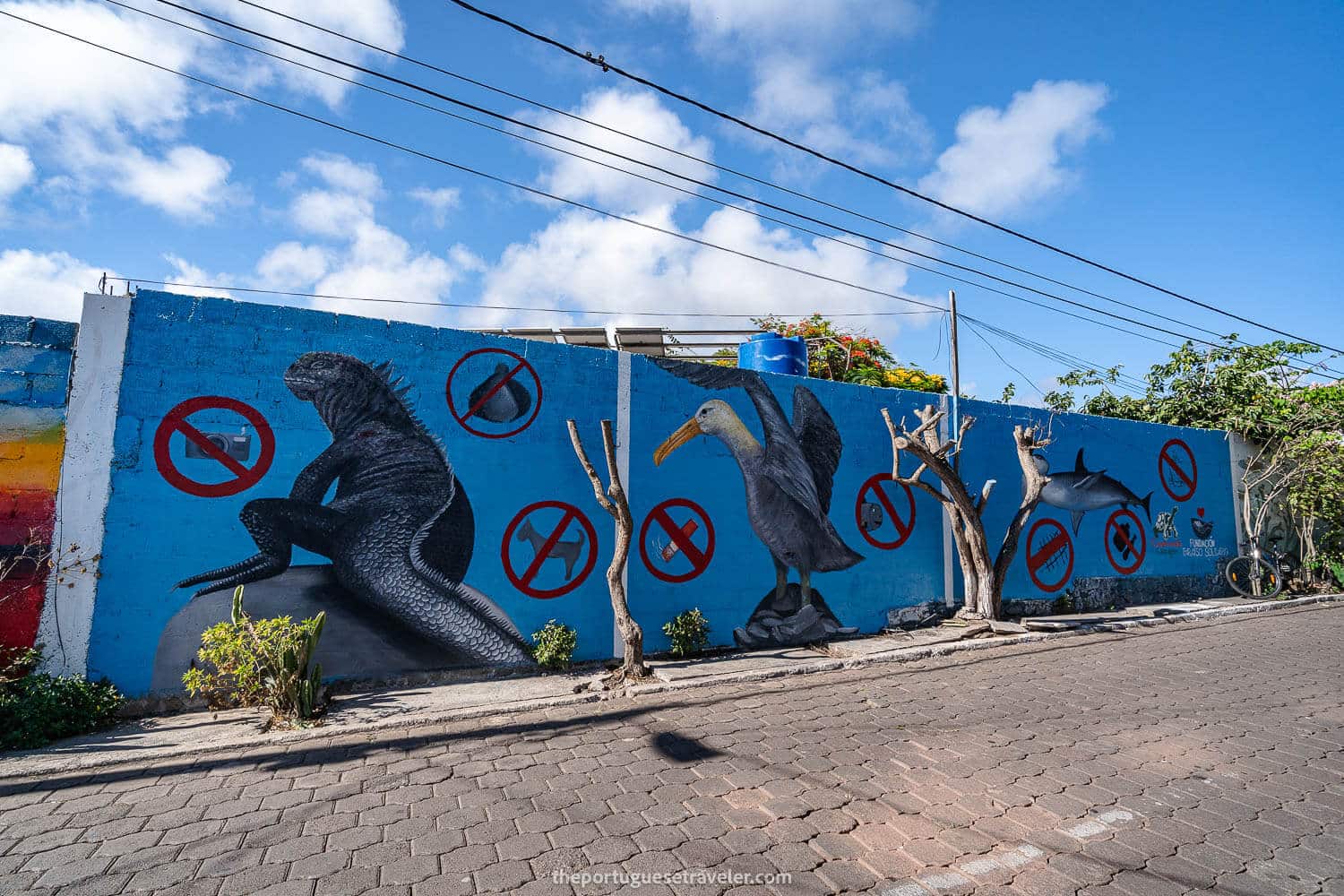 Street art showing what's forbidden in the Galapagos
