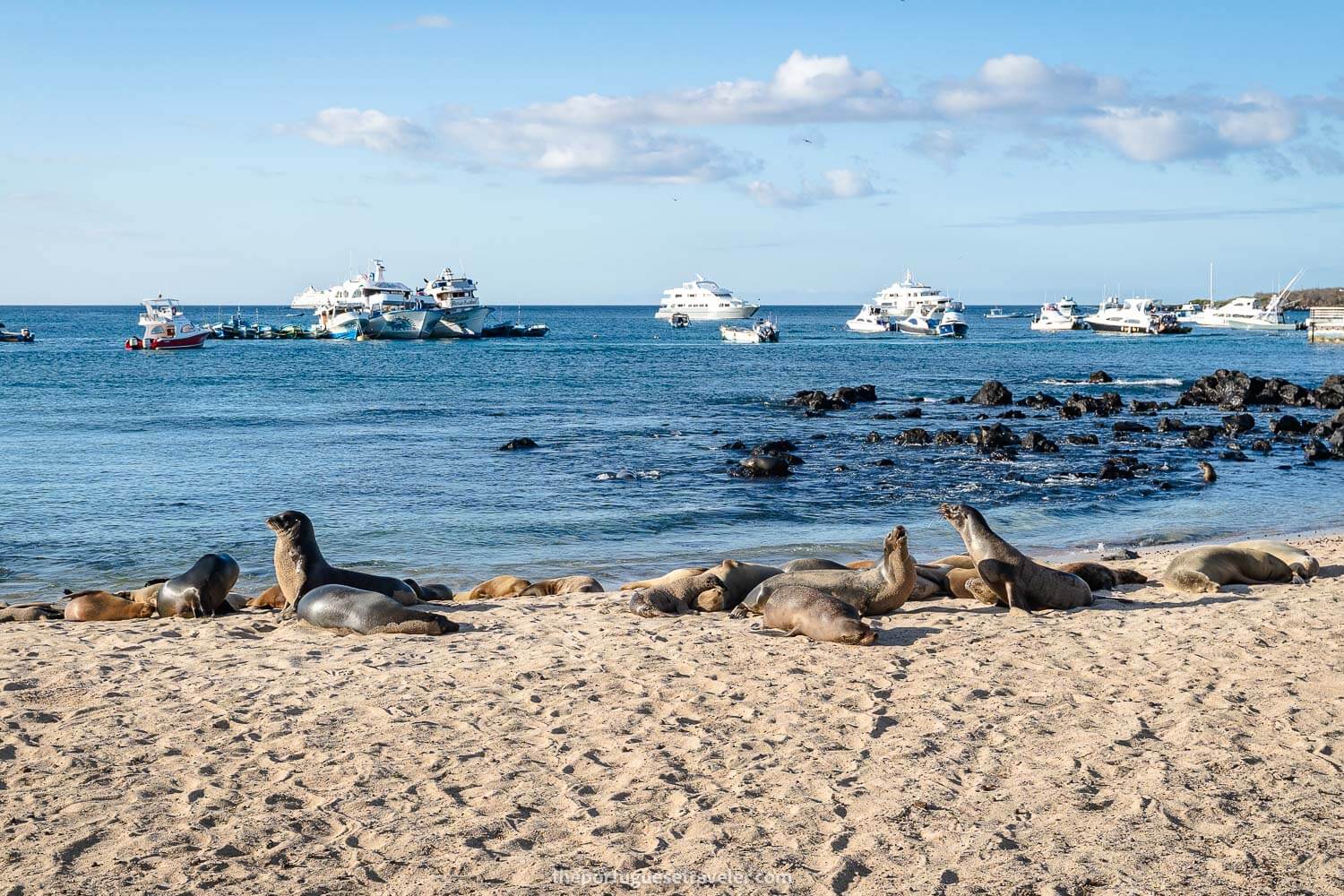 Puerto Baquerizo Moreno's Playa de los Lobos - Where to Stay in the Galapagos