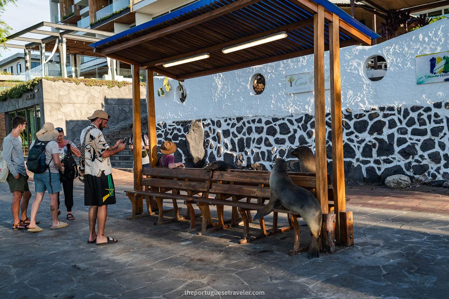 Tourists photographing sea lions in Puerto Baquerizo Moreno, San Cristobal - Galapagos Rules
