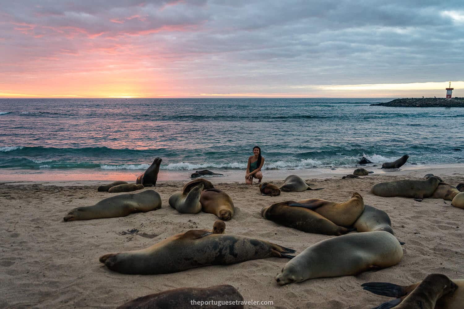 Female Galapagos Solo Travel - Sea lions in Punta Carola in San Cristobal, Galapagos