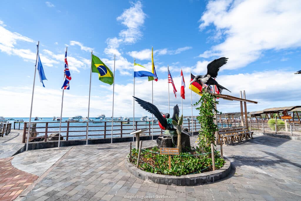 The frigatebird's statue in Puerto Ayora - One of the free things to do in Galapagos